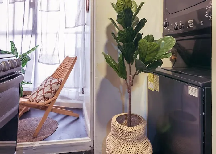 Apartment Beautiful Curated & Designed Flat In Roma Norte *